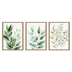 Three Framed Botanical Wall Art Prints with Designs Inspired by Nature