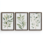 Three Framed Botanical Wall Art Prints with Designs Inspired by Nature